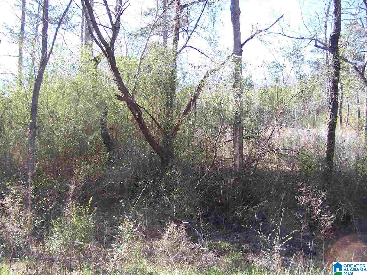 4136 Powder Mill Road Mount Olive, AL 35117 - Photo 8 of 10
