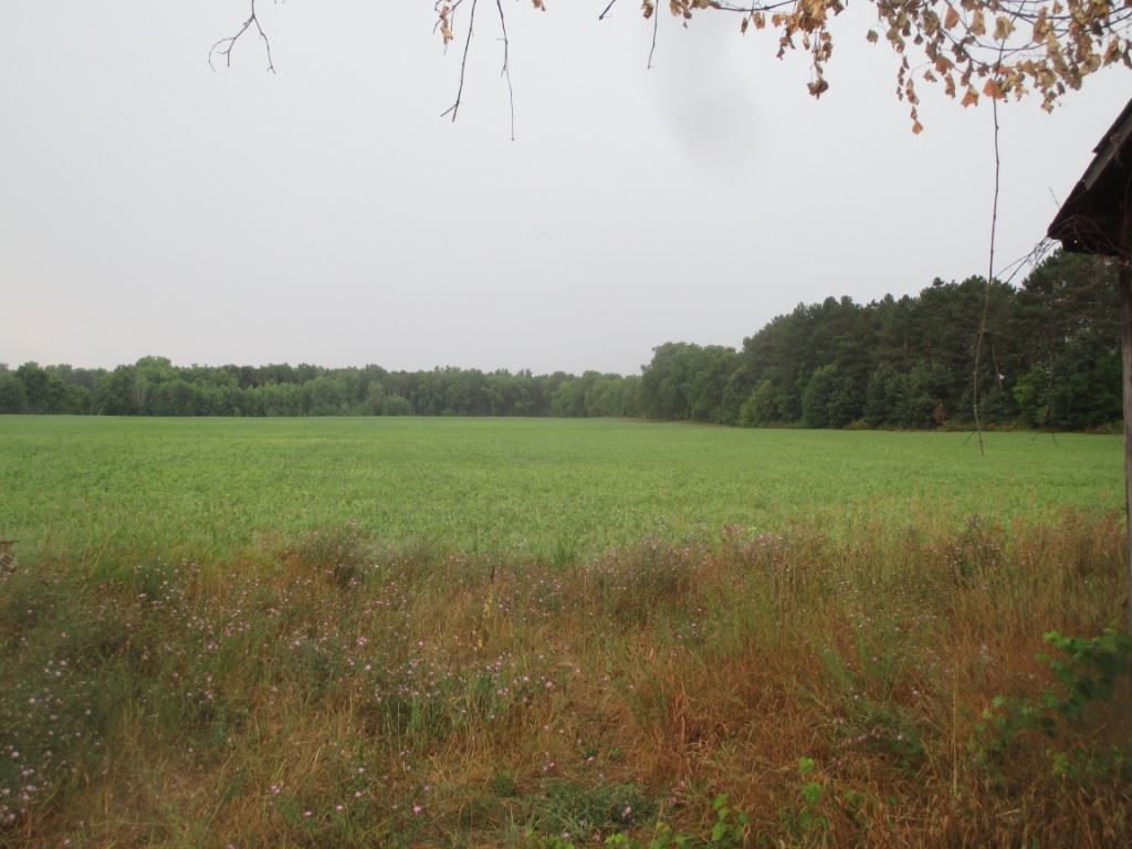 4215 Tyrrell Road Owosso, MI 48867 - Photo 5 of 36 31356489-4.JPG