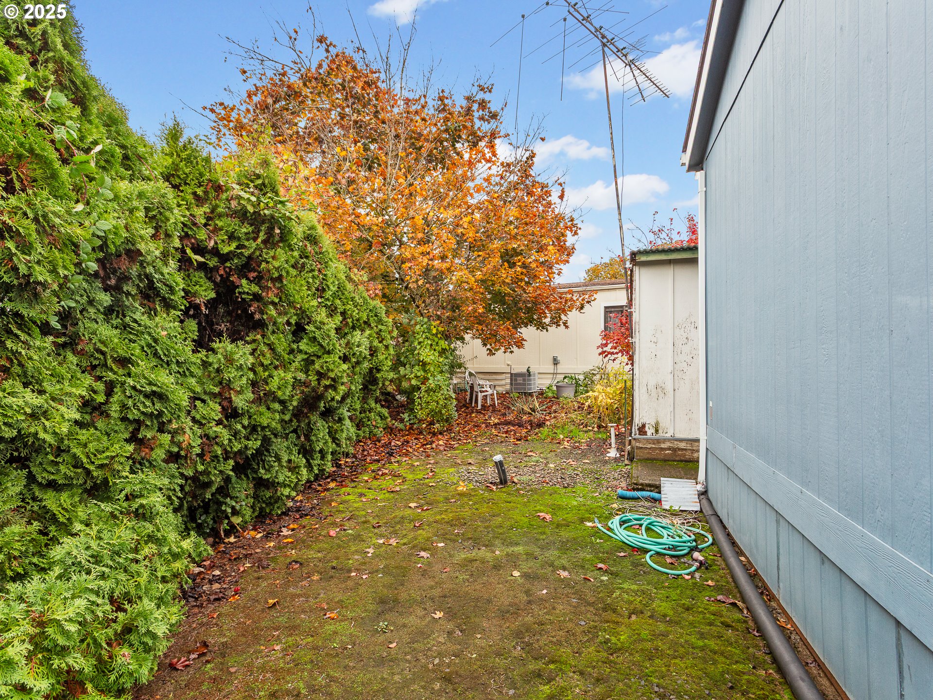 2901 East 2nd Street, Unit 121 Newberg, OR 97132 - Photo 30 of 48 a view of an outdoor space and a yard