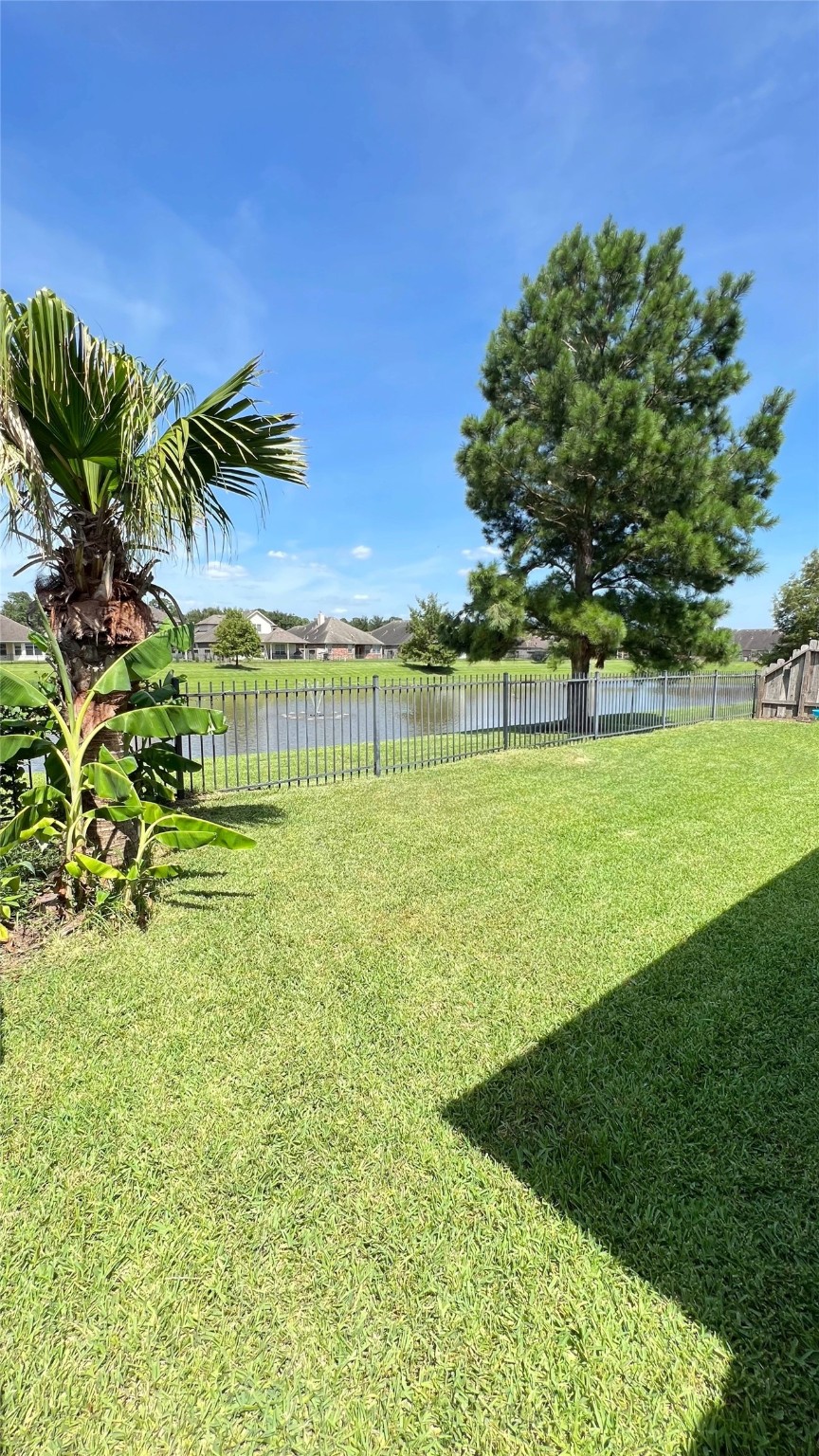 20326 Linshire Drive Spring, TX 77388 - Photo 18 of 24 This photo showcases a backyard with a well-maintained lawn, bordered by a metal fence overlooking a tranquil pond. The area features palm trees and a large evergreen, offering a serene, picturesque view. Perfect for outdoor relaxation and enjoying nature.