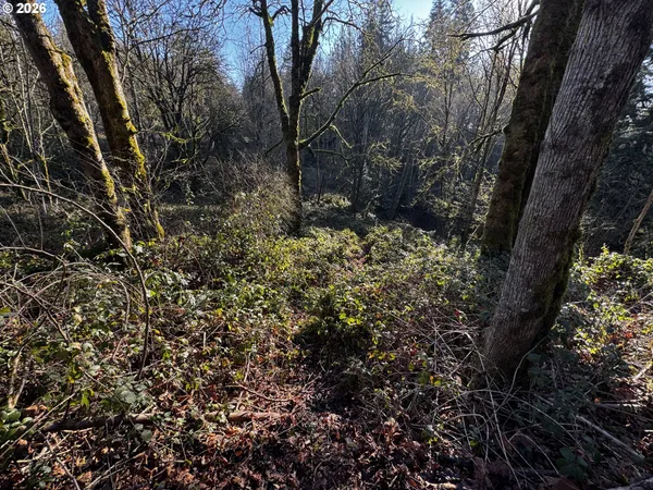 $45,000 | 0 Maplewood Drive, Longview, WA 98632