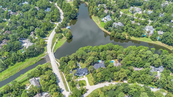 a view of a garden with plants