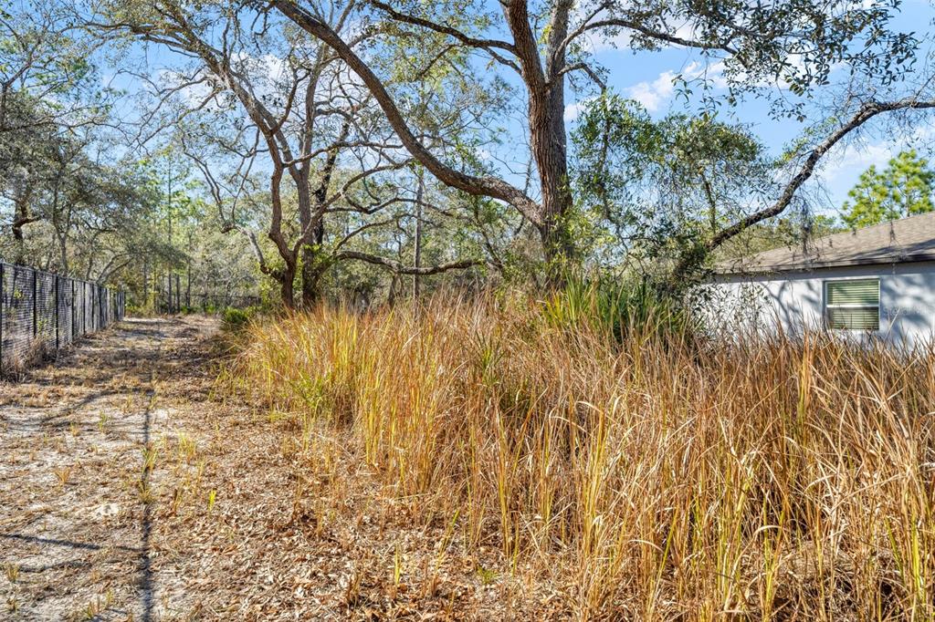 15439 Mt Sparrow Road Weeki Wachee, FL 34614 - Photo 11 of 50