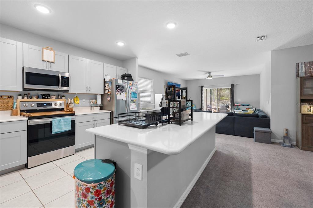 15439 Mt Sparrow Road Weeki Wachee, FL 34614 - Photo 29 of 50