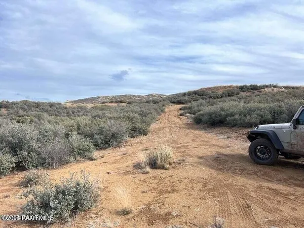 a view of a dry yard