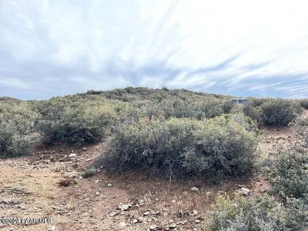 an aerial view of houses covered in trees