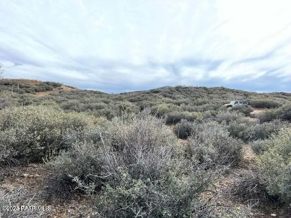 an aerial view of houses covered in trees