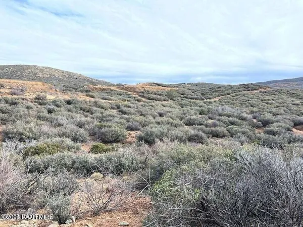 an aerial view of houses covered in trees