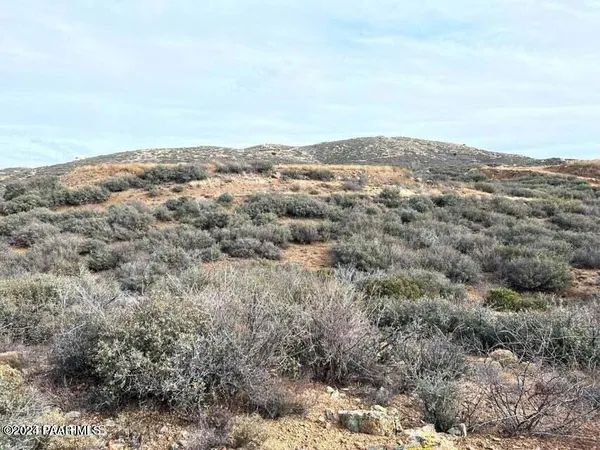 an aerial view of houses covered in trees