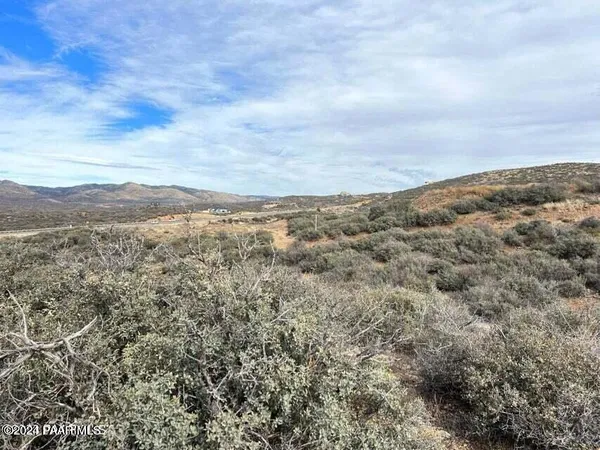 an aerial view of houses covered in trees