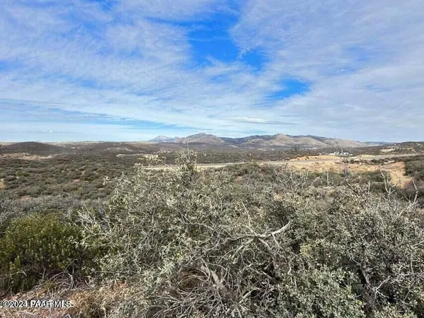 a view of a city with lush green forest