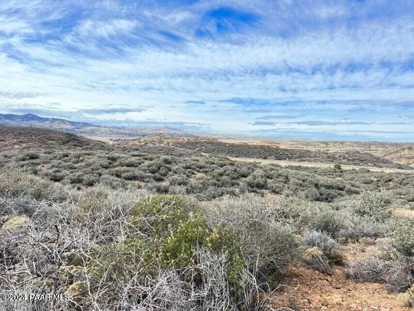 an aerial view of houses covered in trees