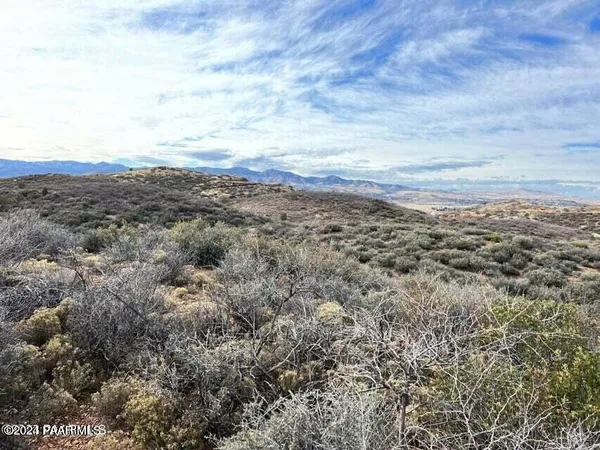 an aerial view of houses covered in trees