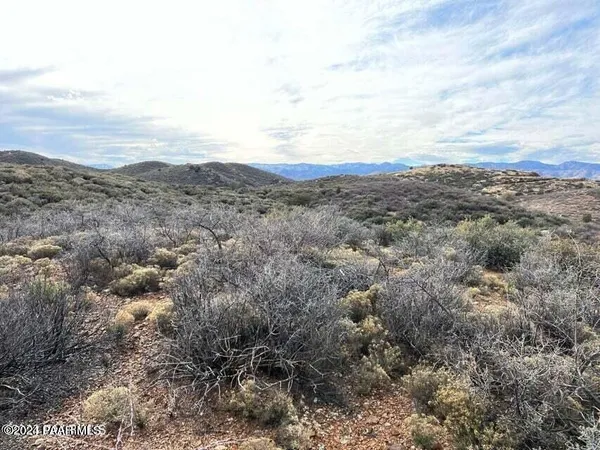 a view of a dry yard with mountains in the background