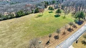 a view of a yard with plants and large trees