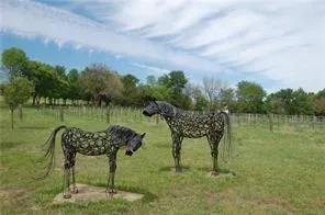 a view of a lake in a back yard