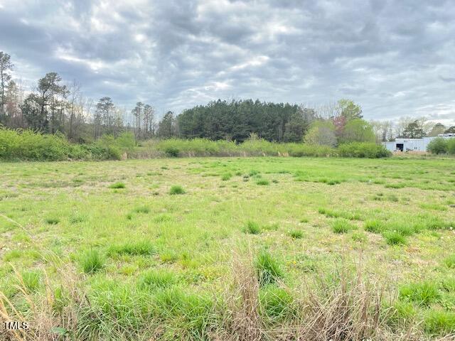 0 R R Street Micro, NC 27555 - Photo 2 of 3 Pic3