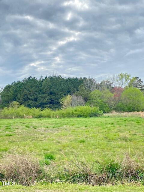 0 R R Street Micro, NC 27555 - Photo 3 of 3 Pic 1