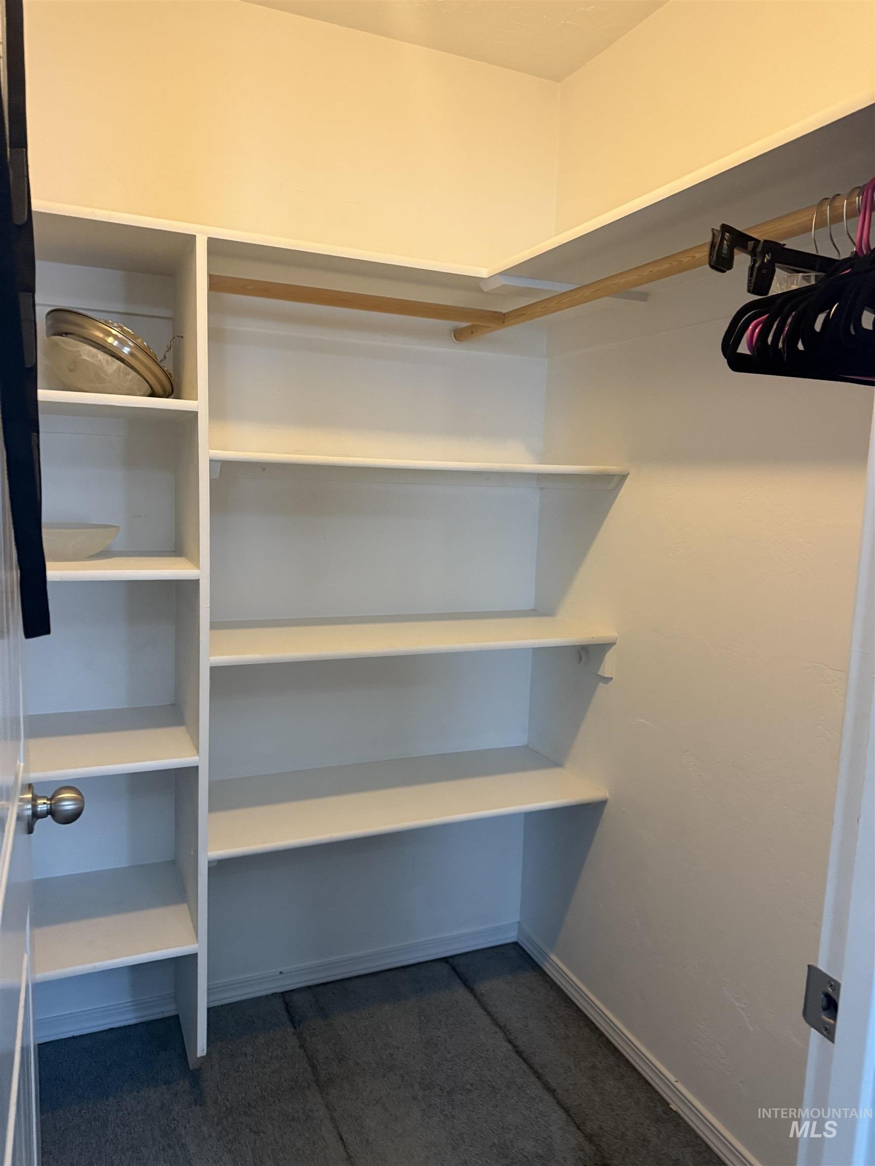 494 Adria Lane Twin Falls, ID 83301 - Photo 14 of 19 Walk in closet featuring dark carpet