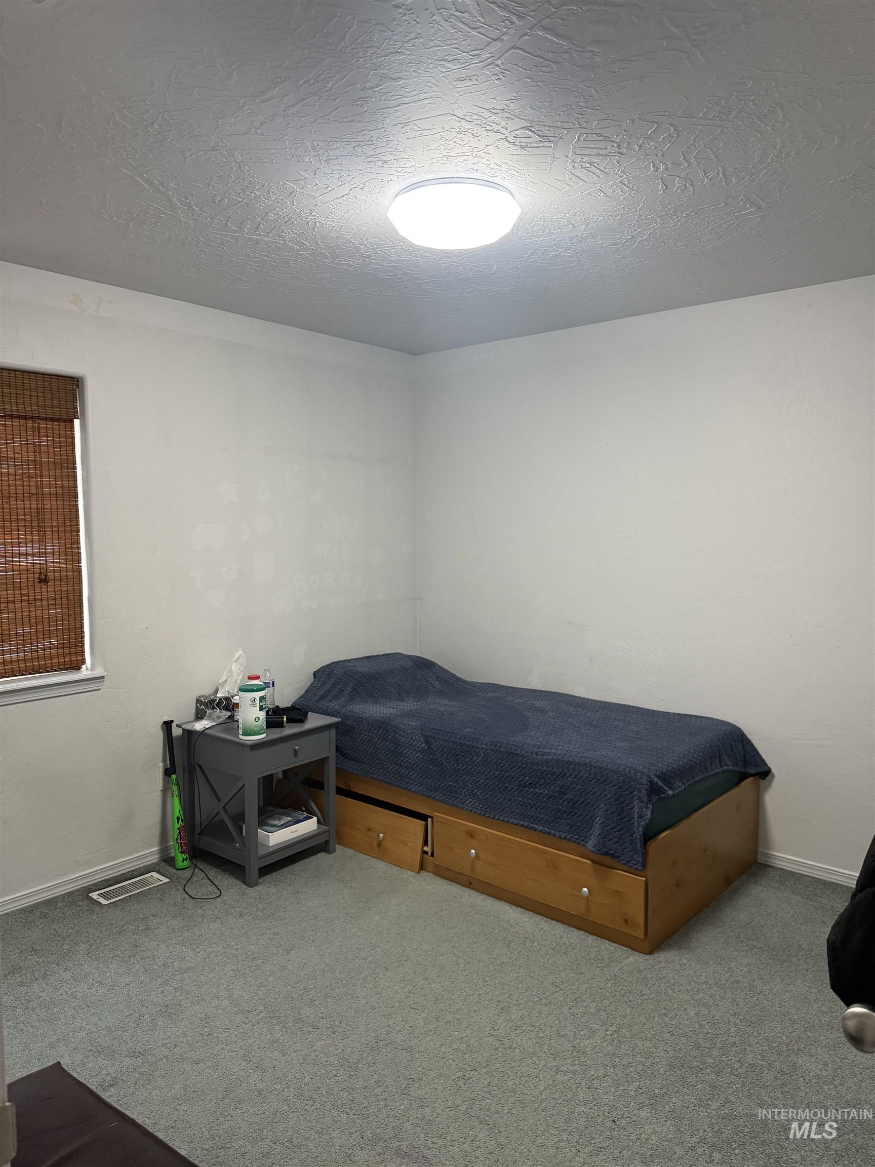 494 Adria Lane Twin Falls, ID 83301 - Photo 16 of 19 Carpeted bedroom with a textured ceiling and baseboards