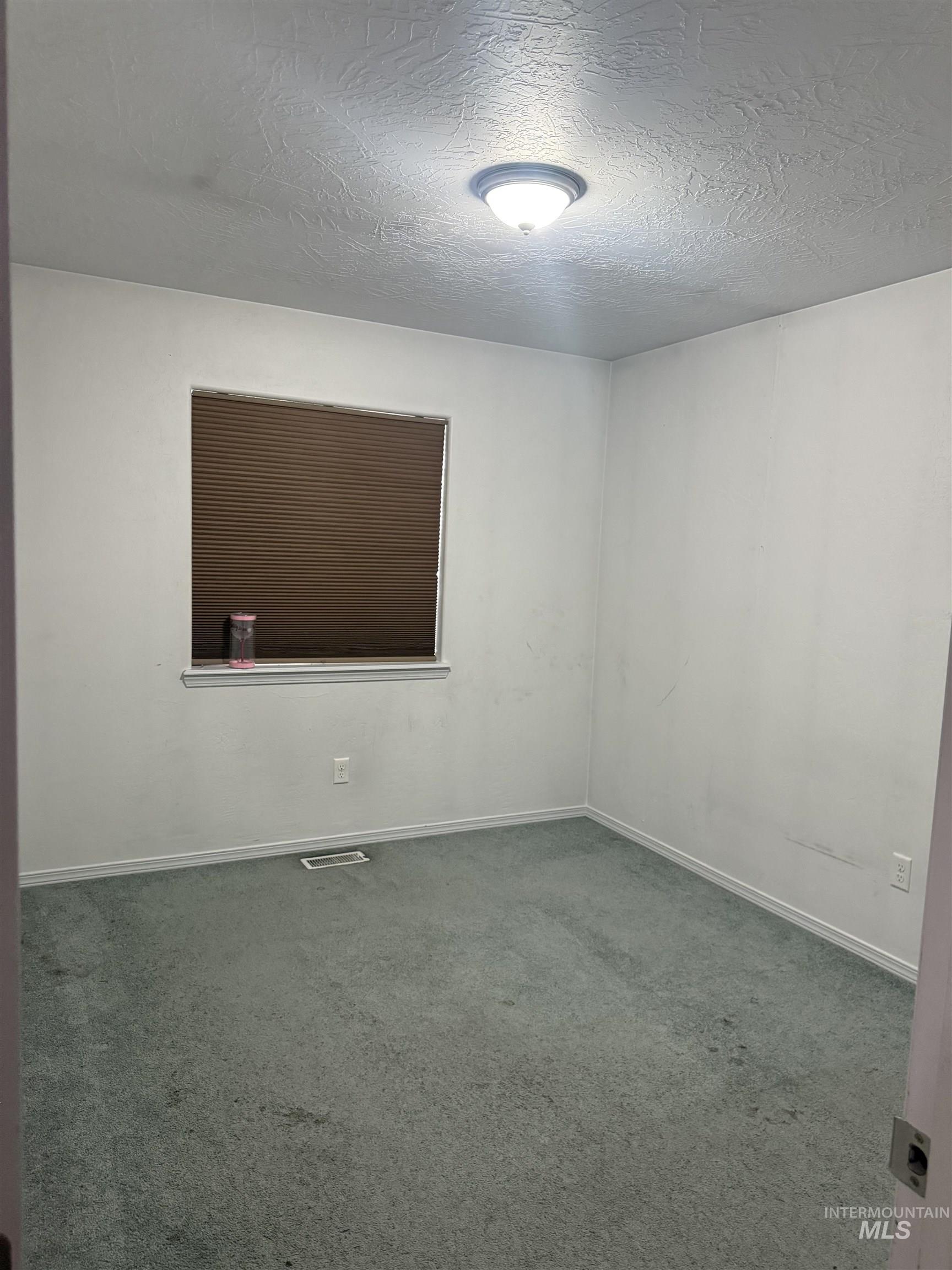 494 Adria Lane Twin Falls, ID 83301 - Photo 17 of 19 Carpeted empty room featuring a textured ceiling and baseboards