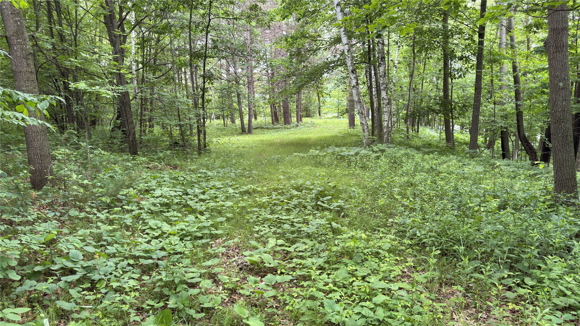 765 270th Avenue Frederic, WI 54837 - Photo 3 of 17