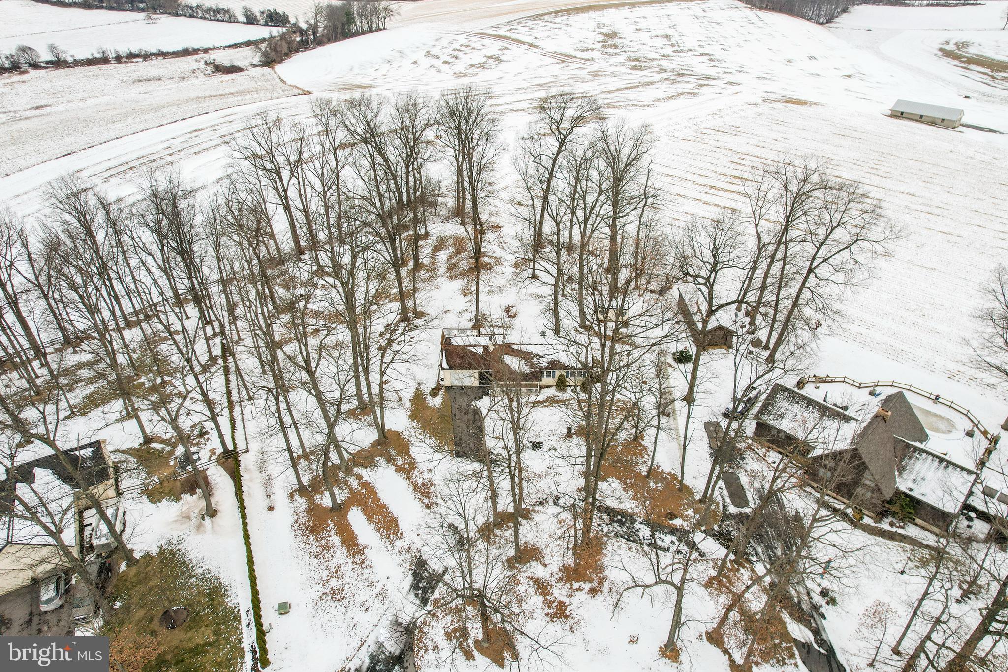 16 Leppo Road Westminster, MD 21158 - Photo 40 of 46 a picture of trees