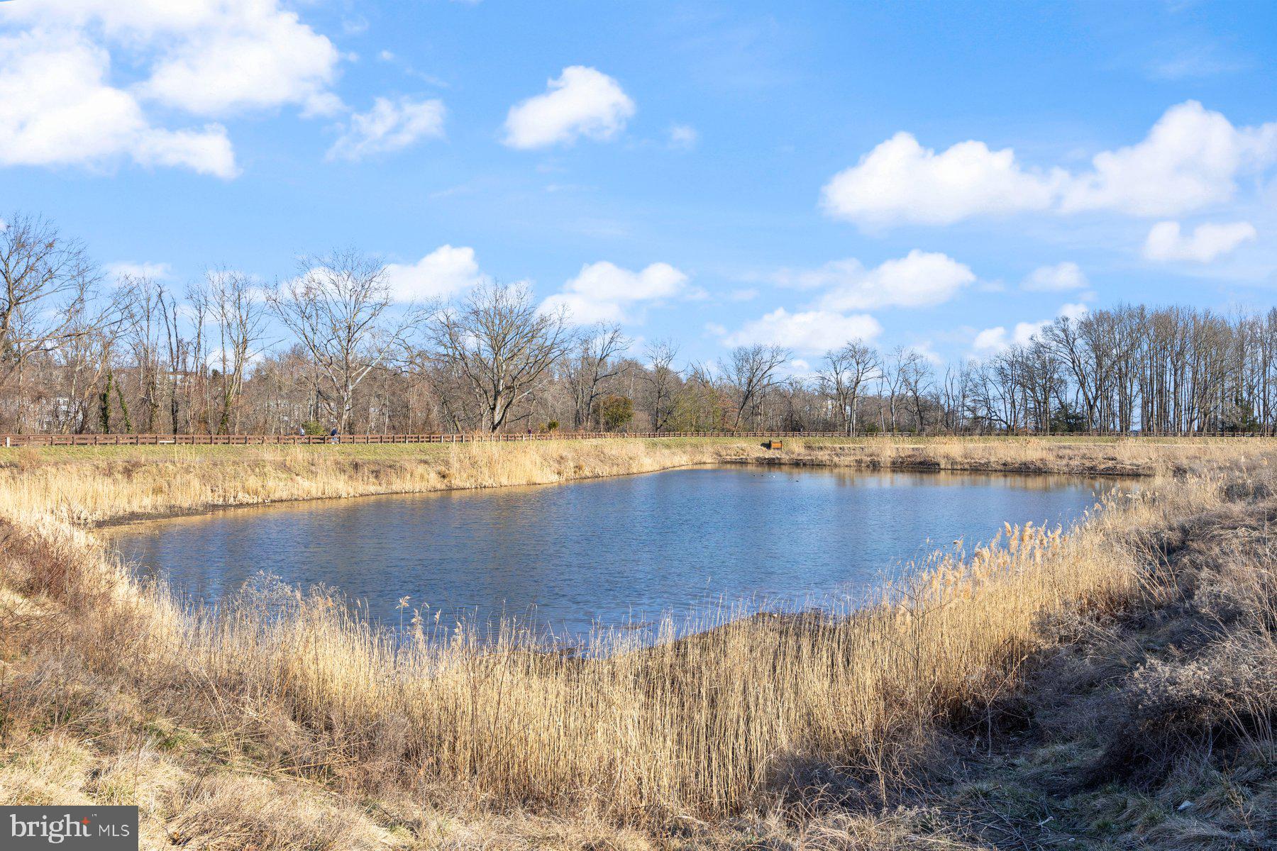 407 Latimer Road Joppa, MD 21085 - Photo 54 of 65 Gallery Image 54