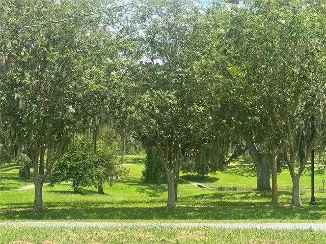 a big yard with trees