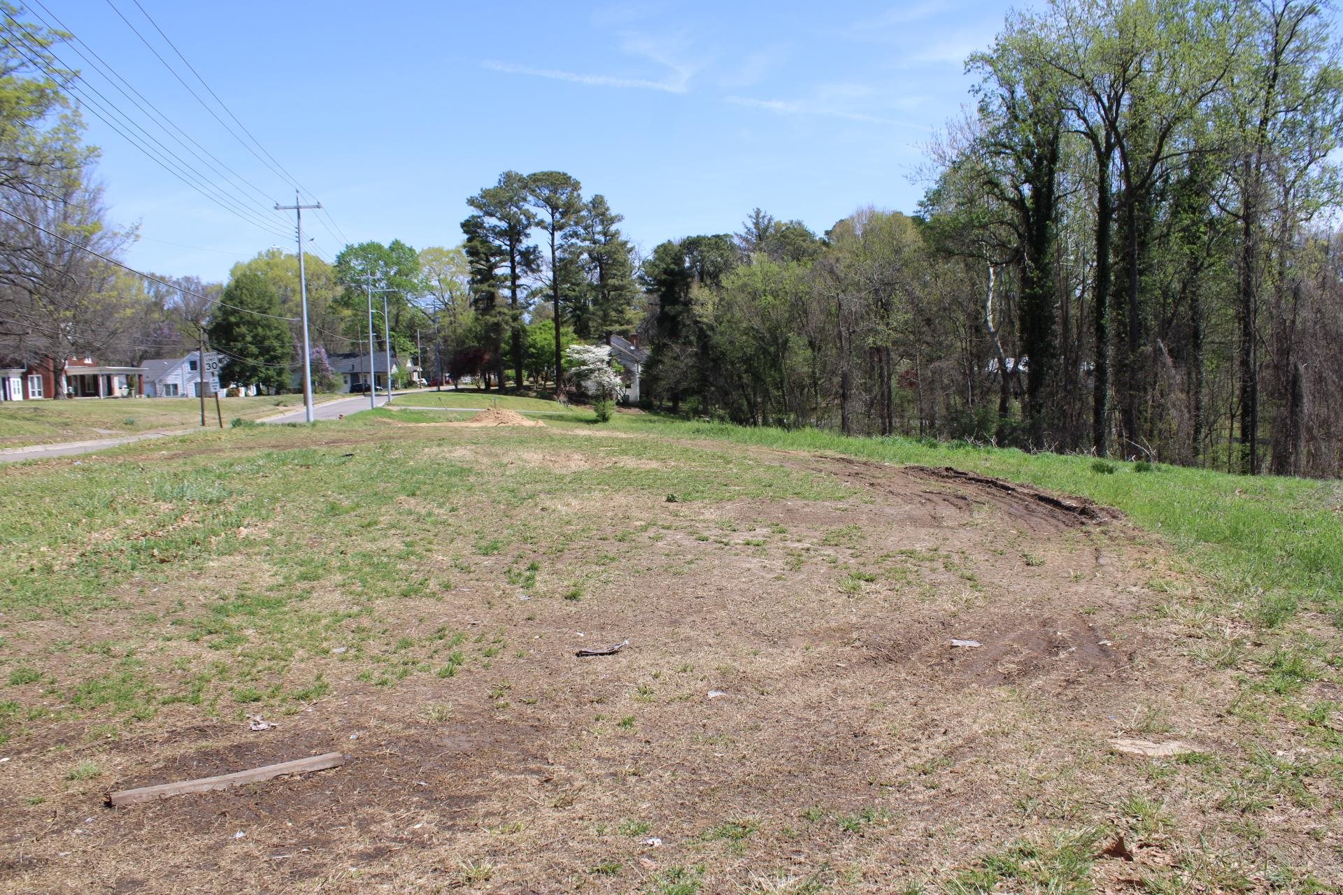 215 South Jefferson Street Ripley, TN 38063 - Photo 7 of 8 a view of a field with trees in the background