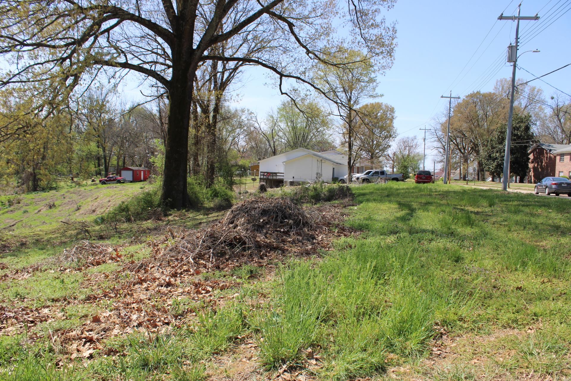 215 South Jefferson Street Ripley, TN 38063 - Photo 8 of 8 a backyard of a house with lots of green space