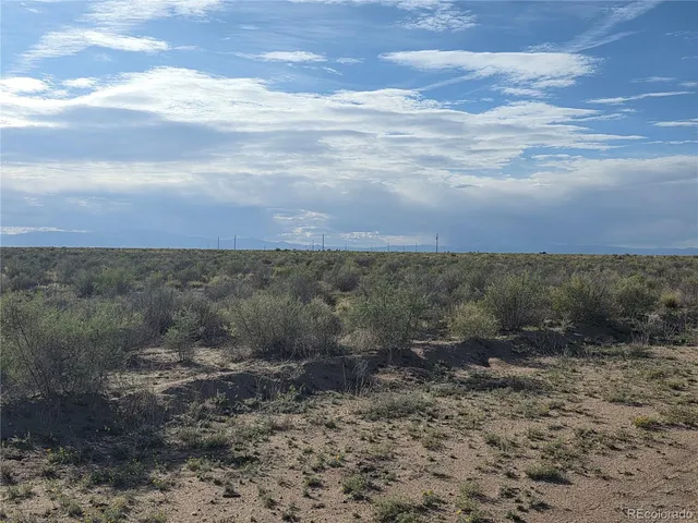 a view of a dry yard