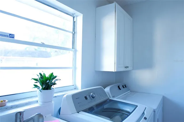 a bathroom with a potted plant on a counter and a sink