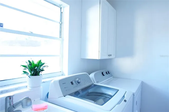 a room with a potted plant on a counter and a sink