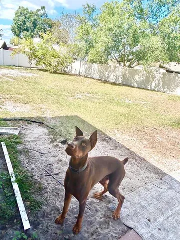 $480,000 | 522 Wynnwood Drive, Brandon, FL 33511