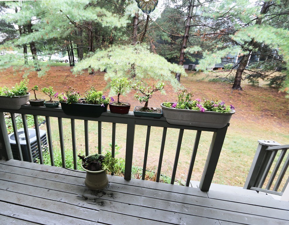 3 Deer Path, Unit 3 Maynard, MA 01754 - Photo 5 of 20 Gallery Image 5
