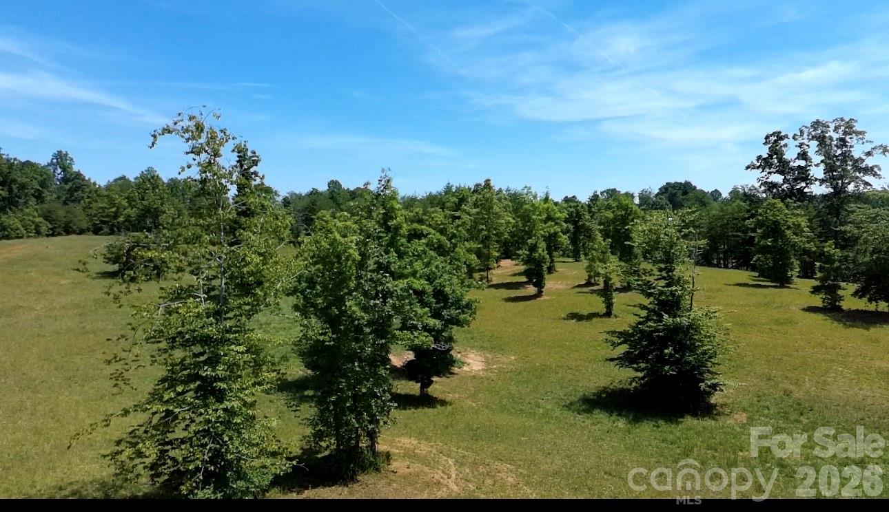 473 McEntire Road Tryon, NC 28782 - Photo 9 of 18