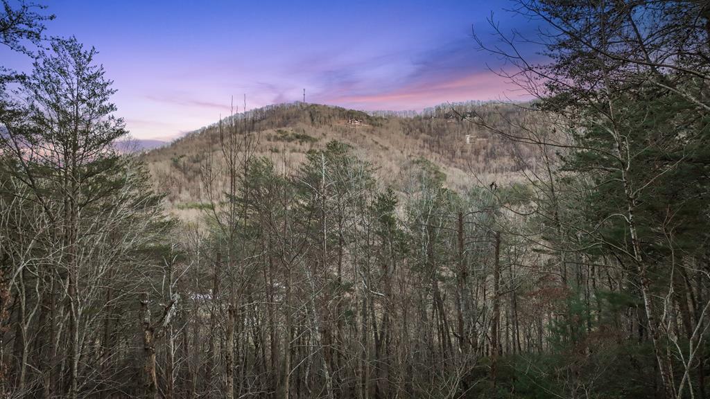 128 Ridge View Estates Road Blue Ridge, GA 30513 - Photo 3 of 82