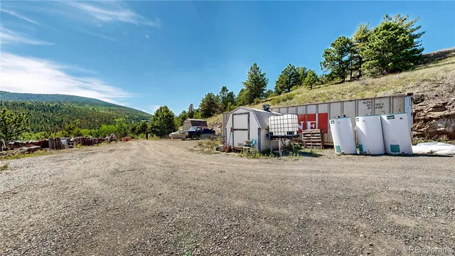 a view of a forest with trees in the background