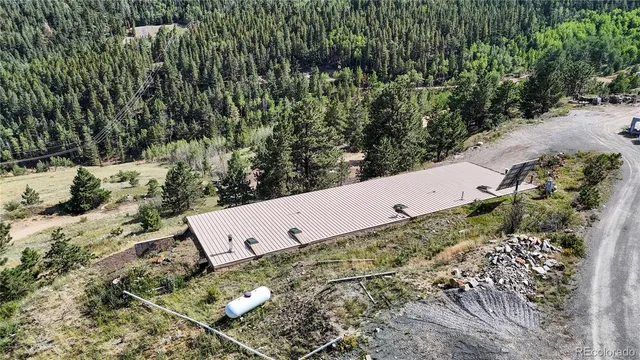 a view of a garden with trees