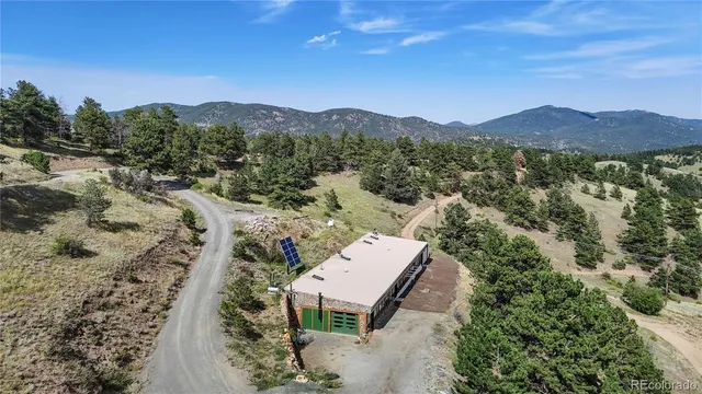 a view of a backyard with plants