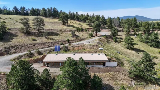 a view of a garden with plants