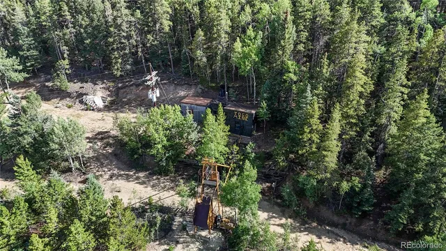 a view of a city with lush green forest