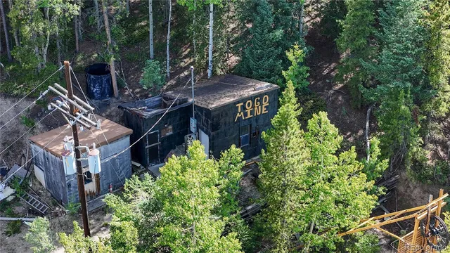 a view of a forest with a tree