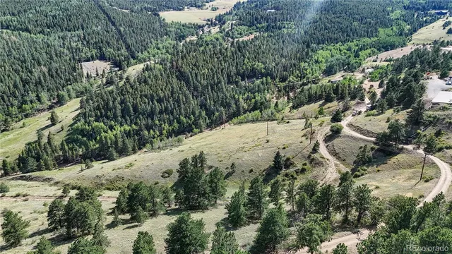 a view of a forest with a mountain