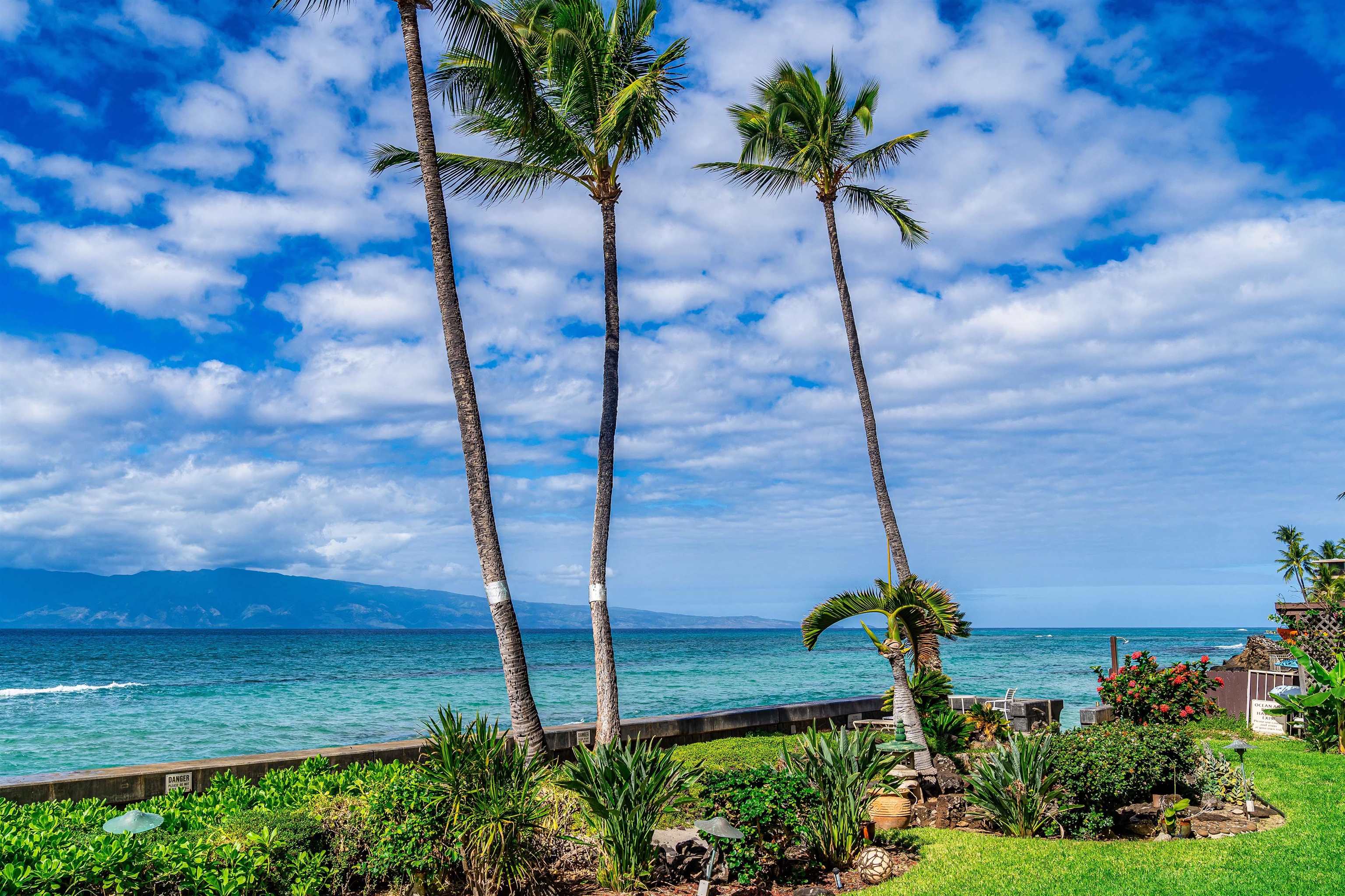 3741 Lower Honoapiilani Road, Unit 303 Lahaina, HI 96761 - Photo 29 of 30 a view of a yard with a fountain