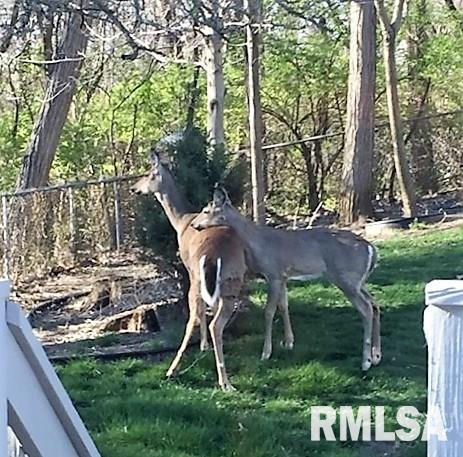 115 Yates Road Marquette Heights, IL 61554 - Photo 24 of 25 Gallery Image 24