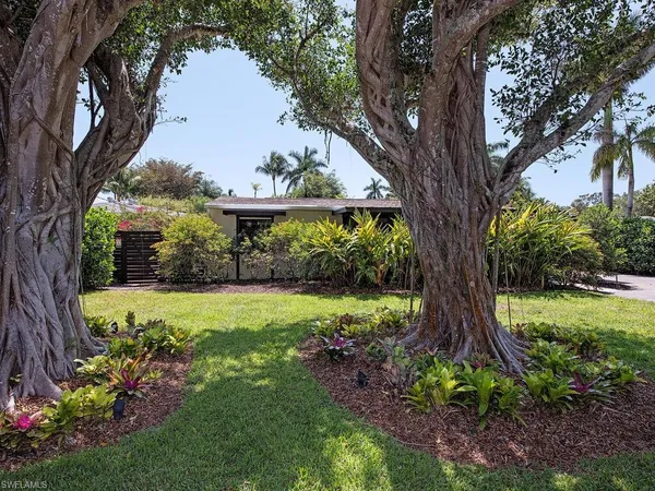 a view of a garden with a tree in back yard