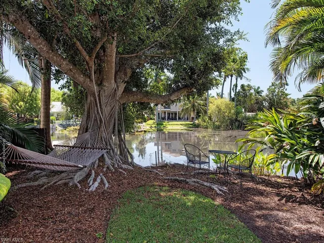 a view of a yard with a tree