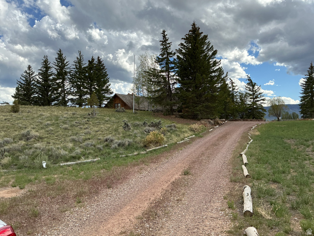 550 State Line Road Manila, UT 84046 - Photo 2 of 41 Gravel driveway leading to a secluded property featuring a rustic-style home with a prominent roofline, surrounded by mature evergreen trees and natural landscaping